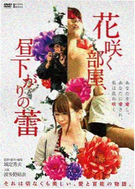 历史题材剧集专名译法封面